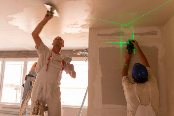 Environmental Consulting for Mold Prevention in Red Hill, SC