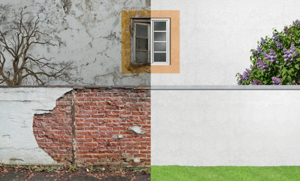 Best Mold Documentation for Insurance Claims  in Red Hill, SC