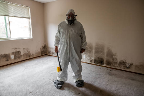 Mold Odor Removal Services in Red Hill, SC