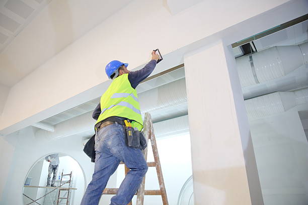 Best Attic Mold Removal  in Red Hill, SC